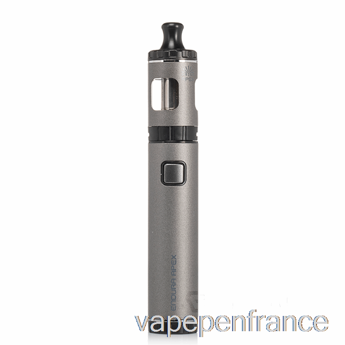 Kit De Démarrage Innokin Endura Apex, Stylo Vape Gris